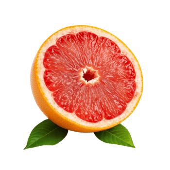 vivace pompelmo attraversare sezione con simmetrico modello su un' trasparente strato png