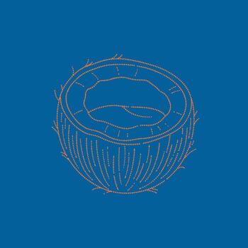 Close-up of a cross-sectioned tree trunk showing growth rings and textured bark on a solid vector