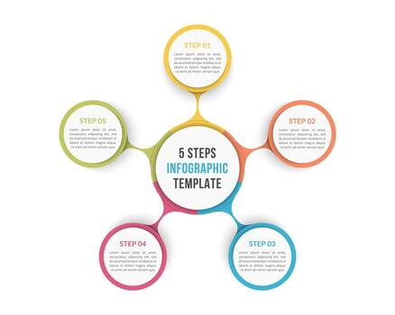 Circle infographic template with 5 steps or options, process chart vector