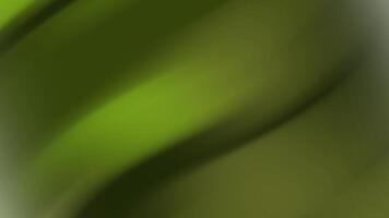 pendenza di verde toni con leggero effetti. adatto per naturethemed disegni, ambientale campagne, e sereno il branding progetti per un' calmante visivo impatto. video