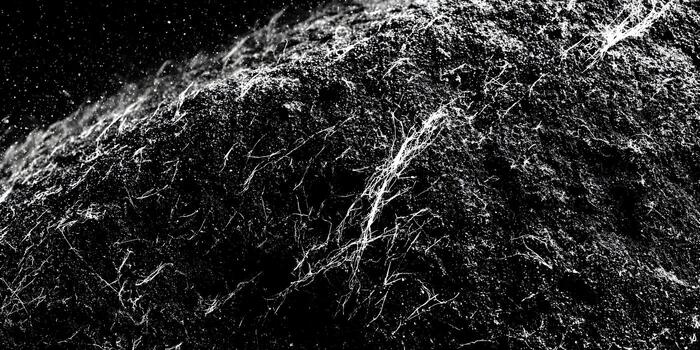 Close up of an organic black and white texture with fine white filaments and scattered particles creating a mysterious abstract background photo