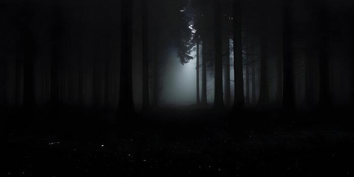A deep dark forest with tall trees is covered in a dense mysterious fog creating an eerie and haunting atmosphere photo