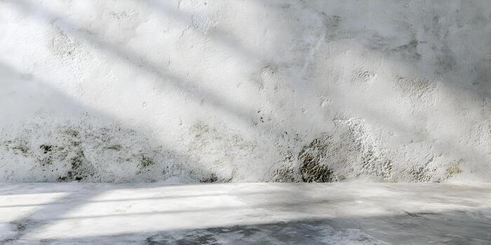 un vacío habitación caracteristicas un texturizado sucio blanco hormigón pared y piso con natural ligero y sombra patrones creando un minimalista antecedentes foto
