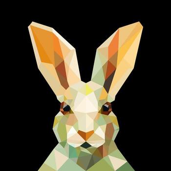 Low polygonal rabbit head art on black background. Geometric illustrations. Abstract polygonal image. vector