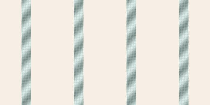 Ffrica background texture , trim stripe lines vertical. Lunky fabric textile pattern seamless in linen and cyan colors. vector