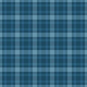 marco tela textil textura, malla antecedentes tartán . real modelo tartán cheque sin costura en cian y atlántico colores. vector