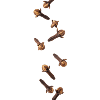 isolato Chiodi di garofano disposte nel un' verticale linea contro un' solido trasparente sfondo Immagine Visualizza png