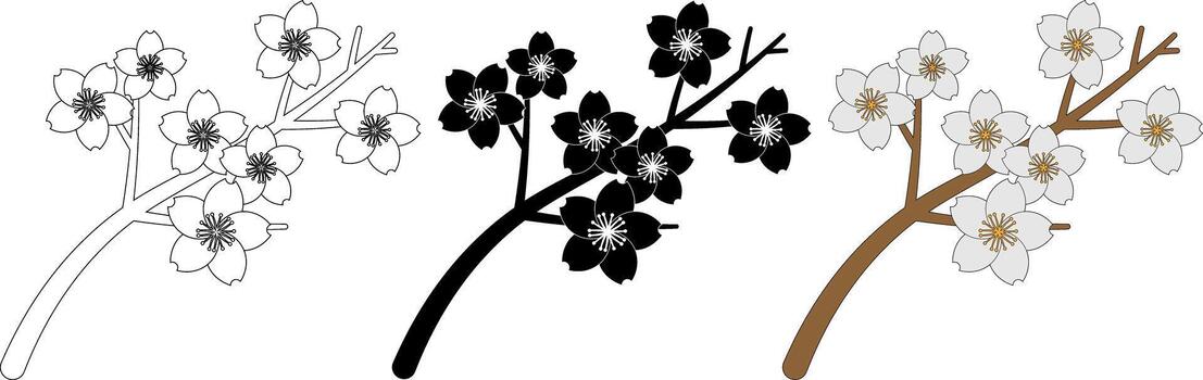 top view Sakura branch in bloom with flowers vector