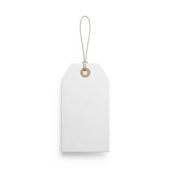 Blank White Rectangular Price Tag with String on Clean Background photo