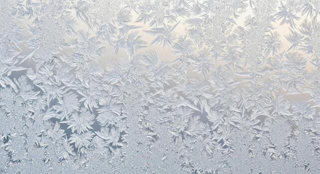 Close Up Shot of a Frosted Window with Intricate Ice Crystal Patterns photo
