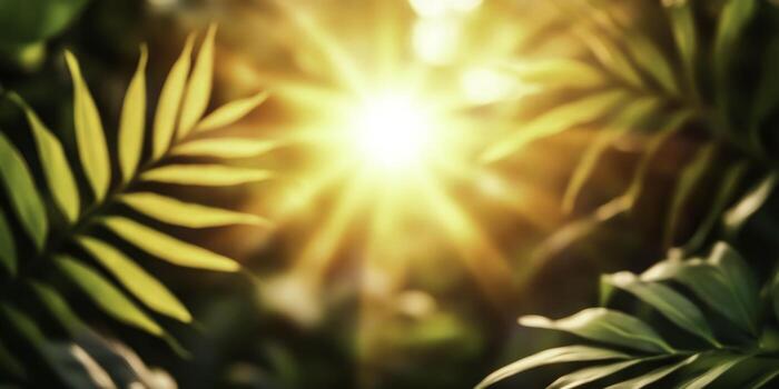 Sunlight Rays Piercing Through Vibrant Green Leaves in Lush Tropical Setting with Soft Focus Effect photo