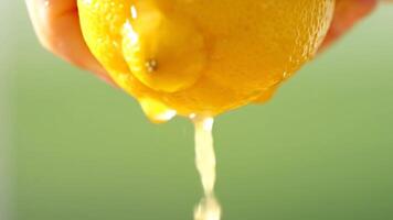 frisch Zitrone quetschen in ein Glas erfrischend Obst trinken Zutaten video