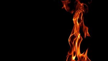 tungor av ljus brand på en svart bakgrund. filmad på en hög hastighet kamera på 1000 fps. hög kvalitet full HD antal fot video