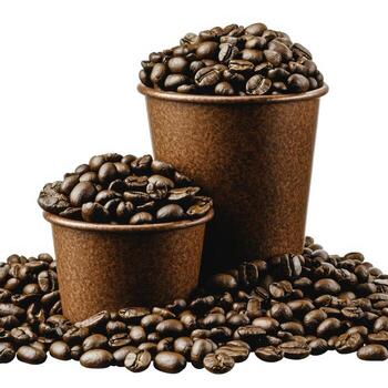 Brown Coffee Beans in Paper Cups Surrounded by Loose Beans on White Background photo