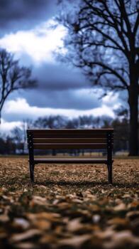 Serene Park Bench Surrounded by Fallen Leaves Under Cloudy Sky in Tranquil Atmosphere photo
