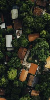 Lush Greenery Surrounds Quaint Rooftops in a Scenic Neighborhood from Above photo