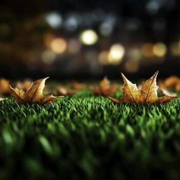 Vibrant Autumn Leaves on a Lush Green Lawn with Soft Bokeh Background Effect photo