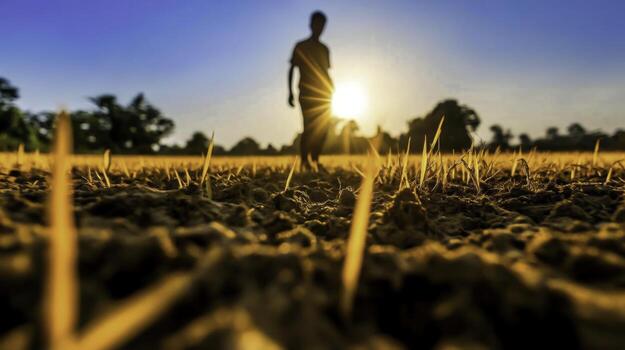 Silhouette of a Person Walking Through a Golden Field at Sunset with Warm Sun Rays and Dry Soil photo