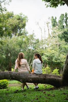 Two Young Women Enjoying Nature in a Lush Park Setting, Engaged in Conversation While Sitting on a Log Surrounded by Greenery and Trees photo