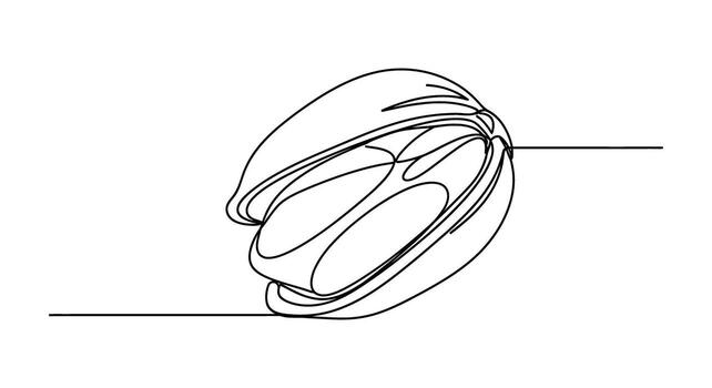 Abstract continuous line drawing of a fruit line art vector