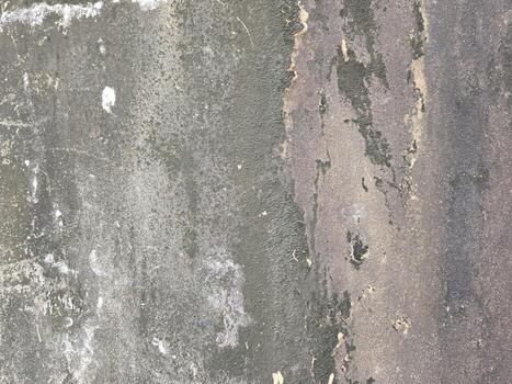 Texture of an Old Weathered Wall with Multiple Color Gradients, Peeling Paint, and Organic Growth Patterns on Rough Surface photo