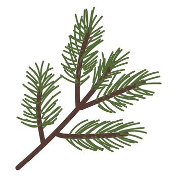 Pine branch with fresh green needles highlighting natural beauty and simplicity in a peaceful setting vector