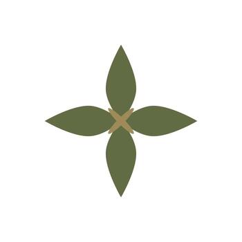 Nature Inspired Graphic Design Element with Leafy Petals and Star Core vector