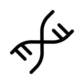 A linear graphic depicting the double helix DNA structure. vector