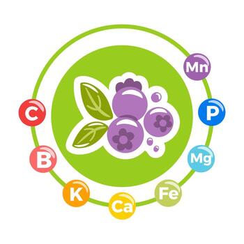 Exploring the Nutritional Benefits of Blueberries and Essential Nutrients in Our Diets vector