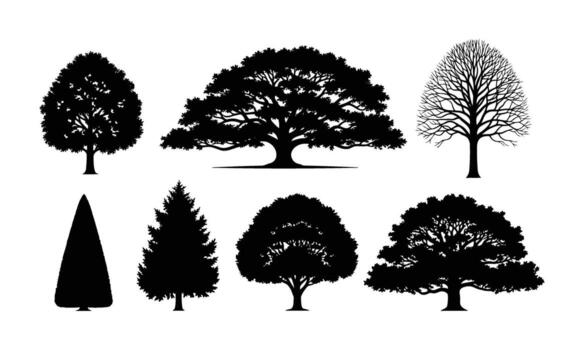 diferente árbol siluetas incluso roble pino y caduco arboles varios formas vector