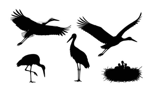 Various crane silhouettes flying, standing and nesting cranes in different poses vector