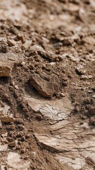 Dry cracked soil with rough texture and earth elements showing rare natural mining ground surface in warm brown tones under sunlight photo
