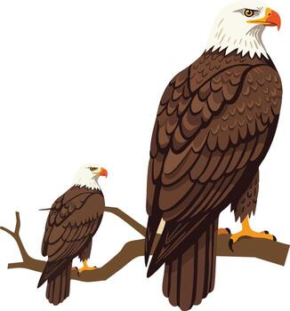 Bald eagle perched on branch with detailed feathers and sharp beak natural wildlife bird illustration vector