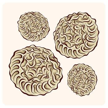 Abstract shapes with intricate patterns vector