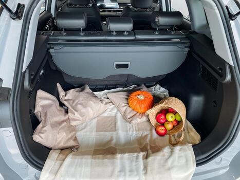 The trunk of a car is absolutely filled to the brim with a wide range of fresh fruits and vegetables, making it an ideal choice for transporting produce in an efficient manner photo