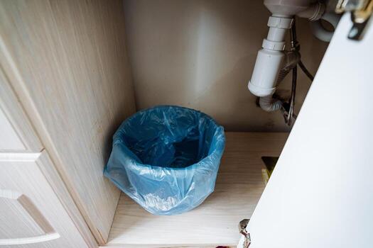 Discover effective undersink storage solutions with builtin trash cans to keep your kitchen organized and tidy. Achieve a clean, minimalist style while enhancing functionality with these essentials photo