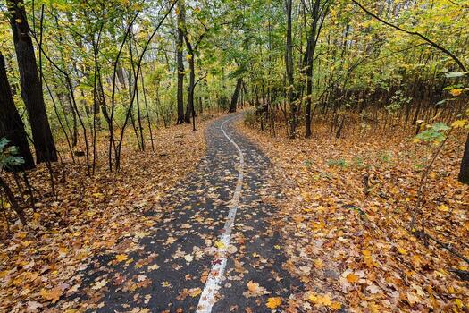 There exists a beautiful path through a forest that is completely blanketed in an array of leaves, creating a stunning natural setting perfect for exploration and adventure photo