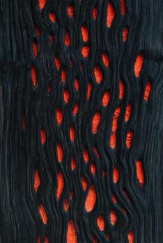 Close up of burnt wood texture showcasing intricate patterns and vibrant orange highlights, perfect for background use in design projects and creative applications photo