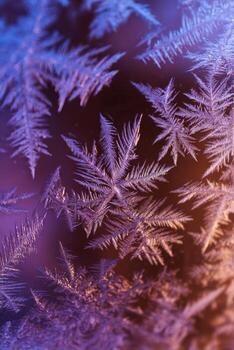 Frost patterns on window glass illuminated by purple and orange light, creating a mesmerizing display of intricate designs and textures, perfect for winter-themed visuals photo