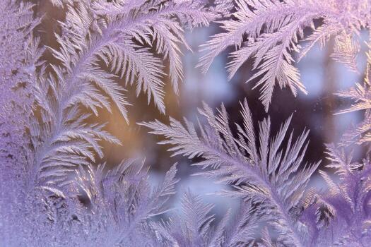 Window frost patterns illuminated by purple light create a stunning visual display, showcasing intricate designs and textures against a blurred background photo