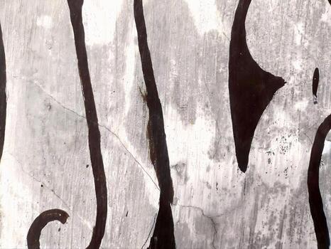 Close view of tree bark pattern with pale lines and dark wood grain organic texture with wavy shapes earthy tone and rustic material mood calm nature study for craft design and natural photo