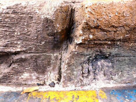 Tree base with rough bark and yellow paint along the ground creating a strong contrast between natural fibers and hard edge photo