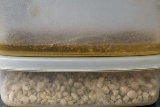 Close view of a glass container with pale liquid and settled grains a soft foam line marks the surface while textures suggest kitchen craft fermentation patience and quiet science behind simple food photo