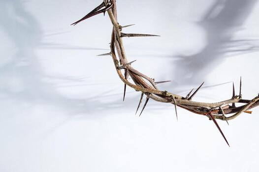 Crown of thorns casting a distinct shadow a white background, creating a symbolic easter image of suffering, sacrifice, and remembrance Copy text friday for space good photo