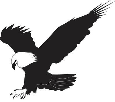 Aggressive Eagle Attacking in Flight for Wildlife and Predator Themes vector