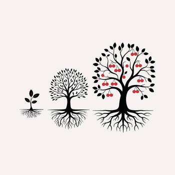 Three black trees with roots and red cherries in different growth stages seedling sapling vector