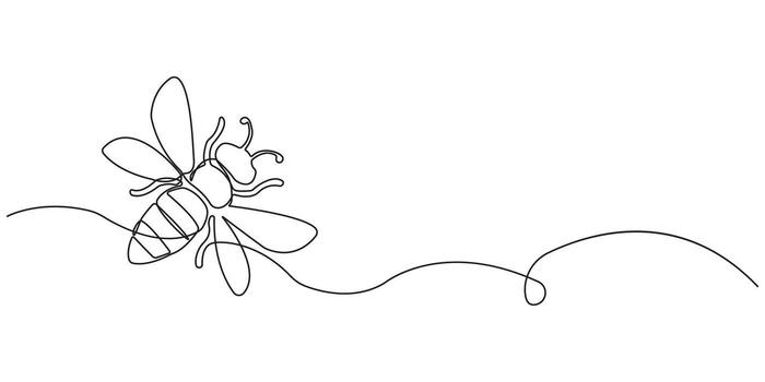 Single line drawing of a bee with wings and segmented body insect animal vector