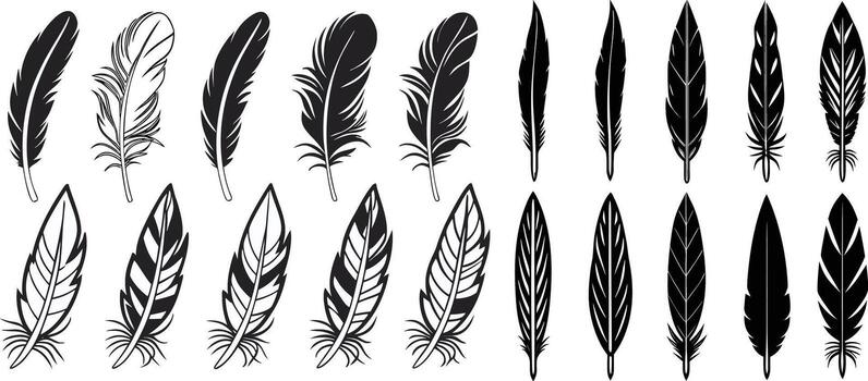 Black and White Feather Collection Graphic Set for Design Projects vector