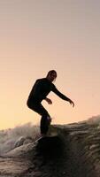 en surfare ridning de vågor på solnedgång. fångande de spänning och skicklighet av surfing i de gyllene glöd av skymning med dynamisk verkan och lugn hav bakgrund video