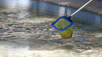 rengöring en slå samman med en netto verktyg i solig väder video